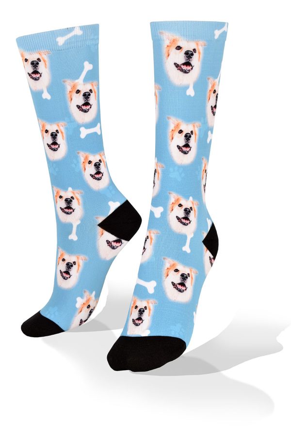 Medias Akita Inu