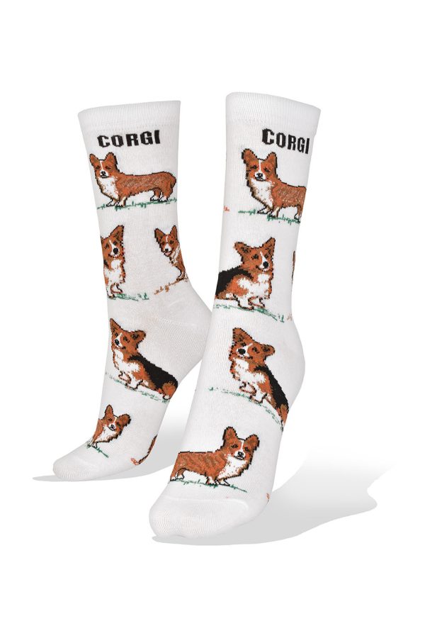 Medias Corgi