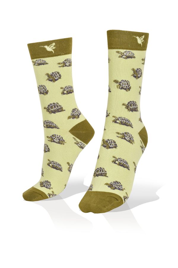 Medias Tortugas en Fondo Amarillo